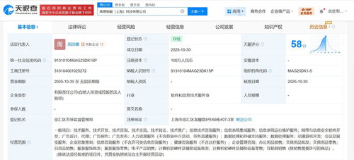 高德在上海成立銷服科技公司，注冊資本100萬，聚焦信息技術咨詢服務