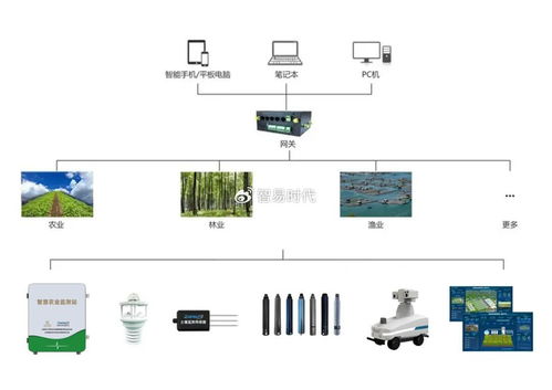智易時代高標準農田工程設施智能化管護系統建設方案